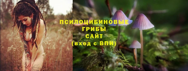 шишки Зеленодольск