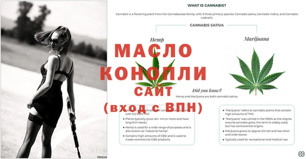 шишки Зеленодольск