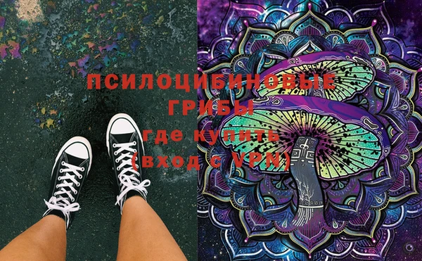 шишки Зеленодольск