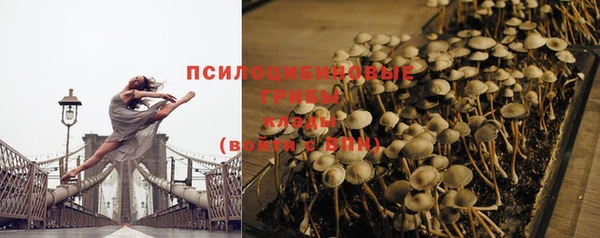 spice Зеленокумск