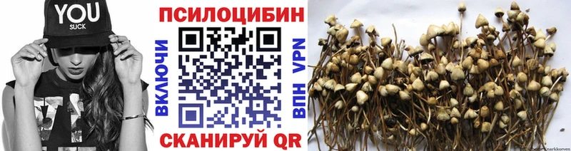 Купить где  Хотьково  Псилоцибиновые грибы Magic Shrooms 